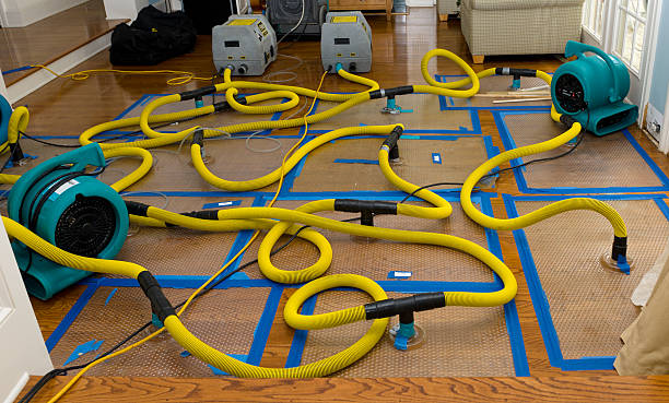 Professional Emergency Water Removal technician working in Nichols, WI